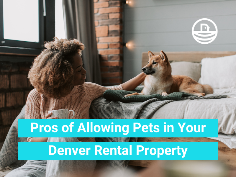 Pros of Allowing Pets in Rentals: What Denver Landlords Need to Know